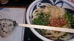 手打うどん かめや