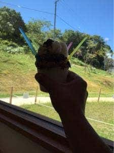 大池ジェラート 風水花