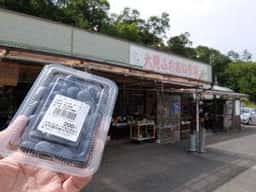 大見ふれあい市場 頭士亭