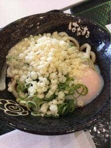 はなまるうどん イオンモールナゴヤドーム前店