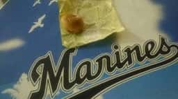 ロッテリア zozoマリンスタジアム店