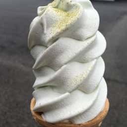 南伊豆アロエセンター