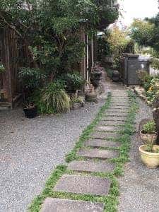 めん倶楽部 さくら