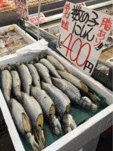 角上魚類