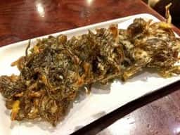 島唄ライブ樹里