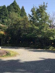 日本料理 さか本