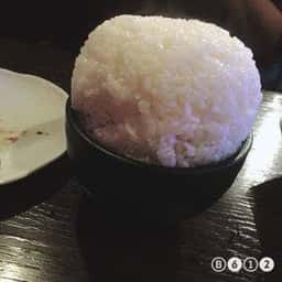 かながわ 焼肉ホルモン
