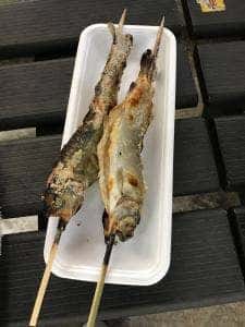 渓流釣り 軽井沢おもちゃ王国