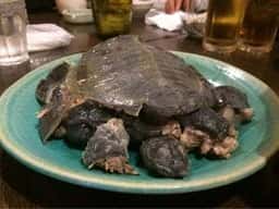 味の店 ゆたか