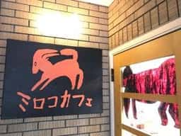 ワッカオンパ