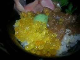 しゃくなげの館