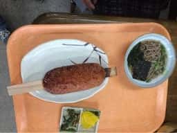 設楽観光ヤナ 八雲苑