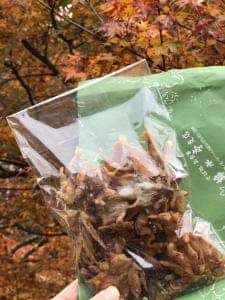 錦水亭支店