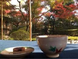 日本庭園 有楽苑 弘庵