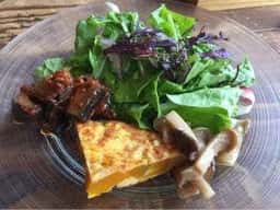 Pastaio アカマツ