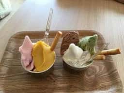 GELATERA Vivo
