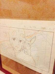 どんぐり