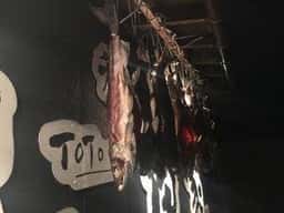 魚長