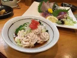 大衆割烹 大菊