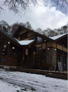 小梨の木の下
