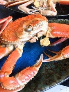 えちぜん 丸太屋