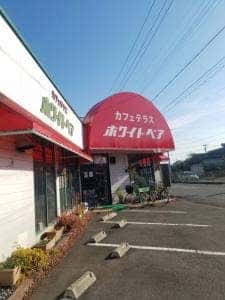 ホワイトベア