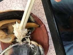 多幸花