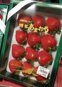 博多 さんか園