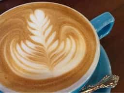 Latteart Junkies Roastingshop 鞍馬口本店
