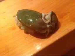 りきすし さわた