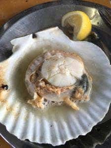 旬味 かきの里