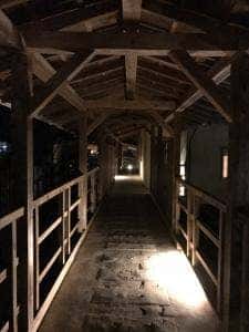 温泉山荘 だいこんの花