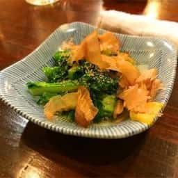 魚の力安