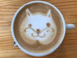 Cafe cherryblossom