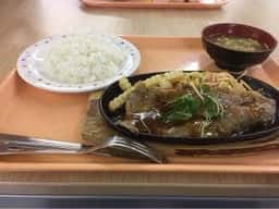 食堂アプリコット