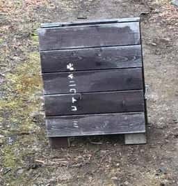 ニワトコノミ