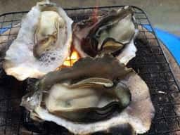 ビーチカフェ 砂浜食堂