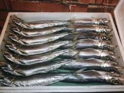 ひもの塾 伊勢店