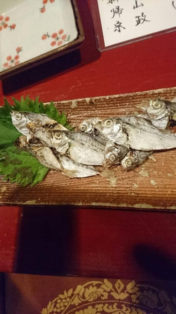 羽泉