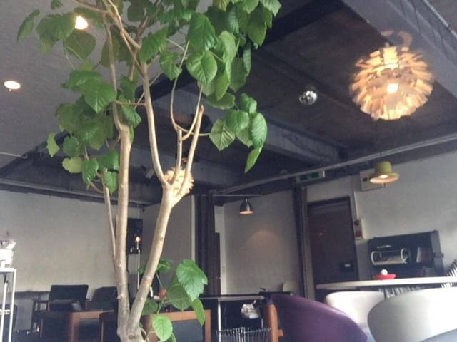 cafe Room - サブ画像1