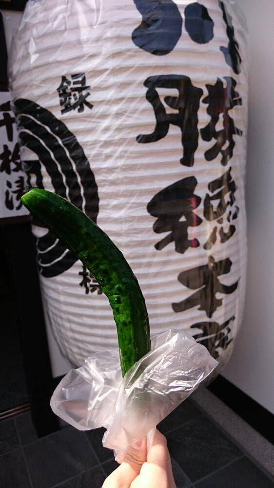 川勝總本家 嵐山店