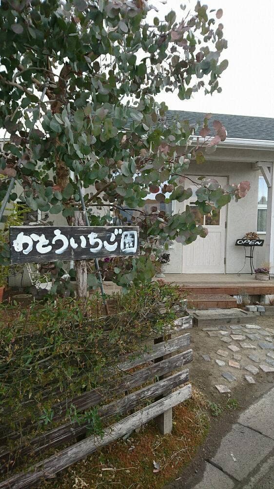 かとういちご園 - サブ画像3