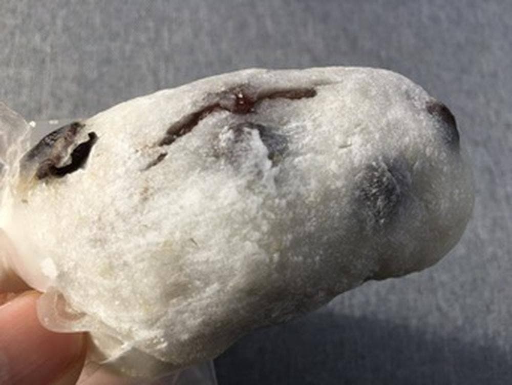 せんべいの田中屋