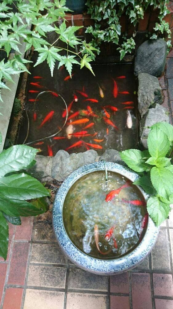 一休うどん - サブ画像2