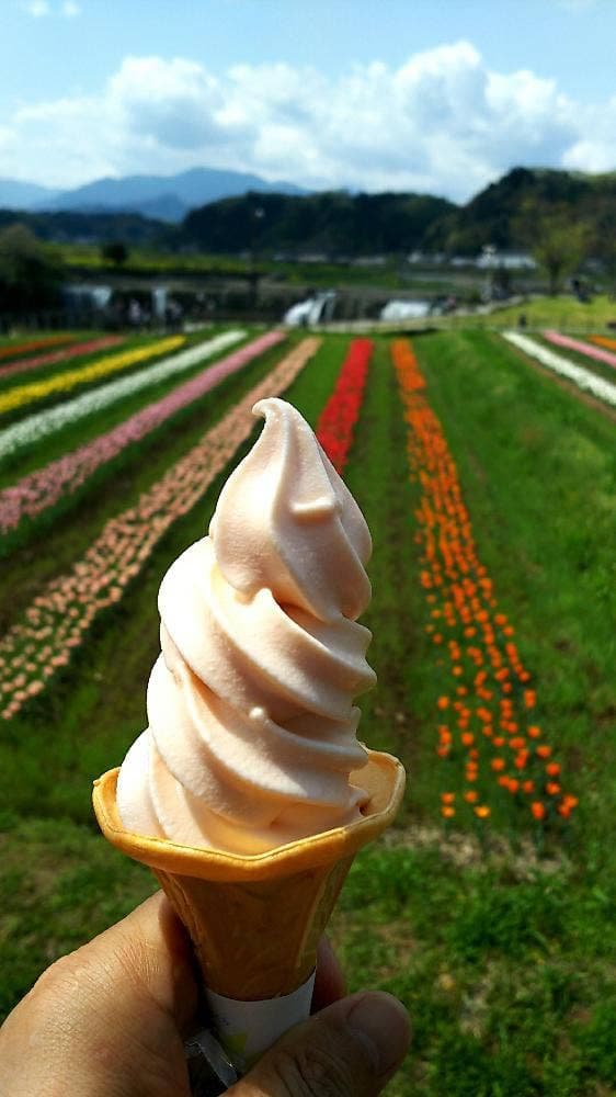 原尻の滝
