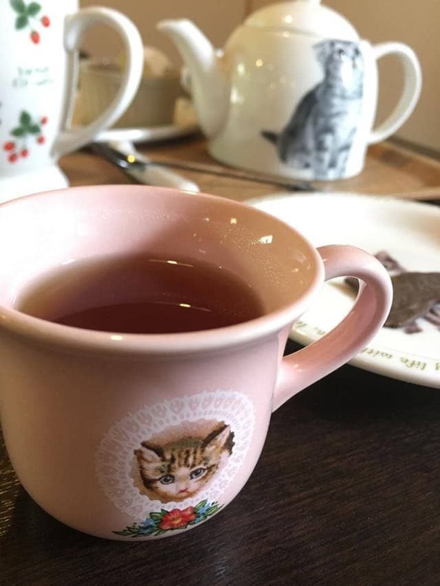 カフェ猫の散歩道 - サブ画像1