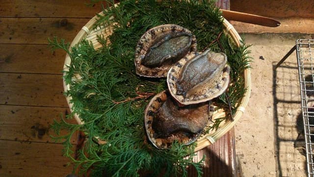 ろばた焼童子 - サブ画像2