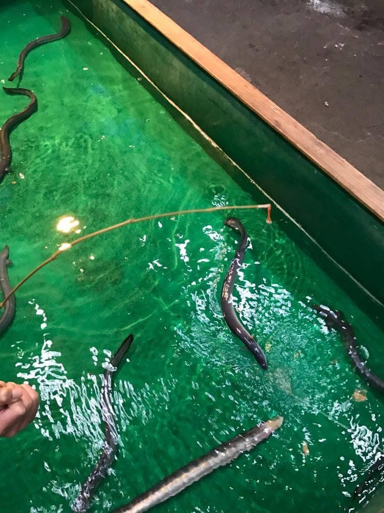 うなぎつり 大阪屋