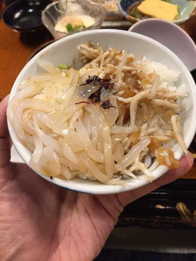 ゆわいの宿 竹乃井 - サブ画像1