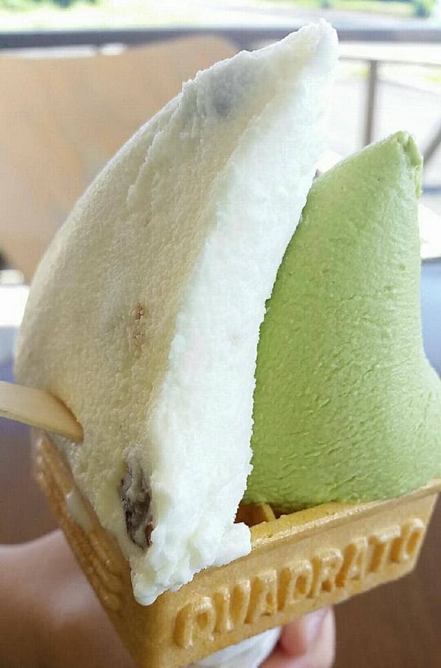 Pace - サブ画像2